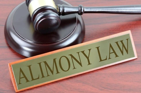 Who Can Claim Alimony in India